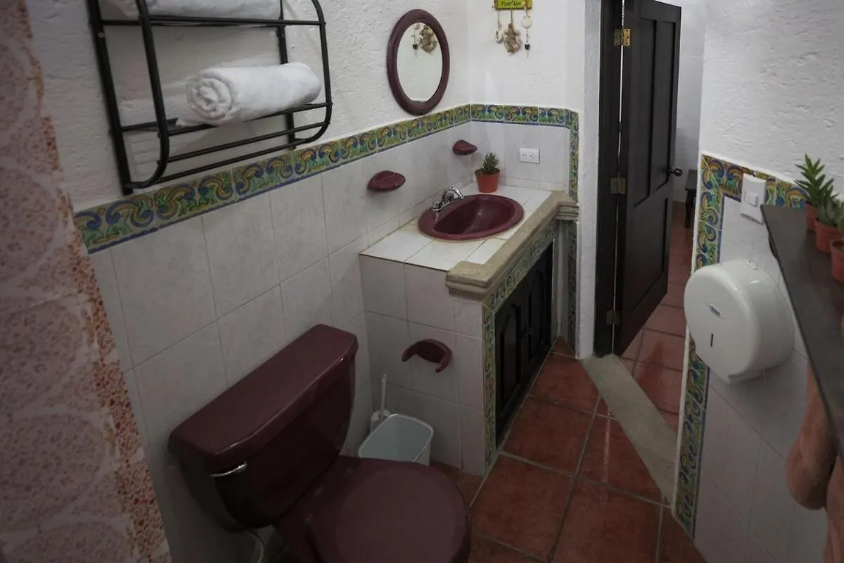 Colonial Flat With Parking Terrace Netflix Daire Antigua